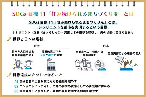 sdgs11 取り組み事例 世界|SDGs目標11「住み続けられるまちづくりを」とは？世界と日本。